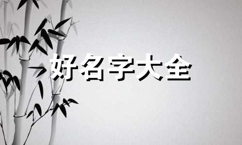 个性工商户如何起名字好听