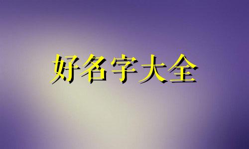 午餐店如何起名字吸引人