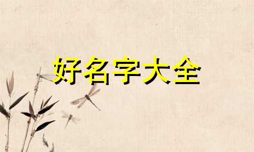 绘本借阅卡如何起名字好听