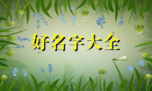 白色的猫如何起名又霸气又温柔