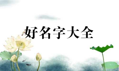 琴和书如何结合起名字呢