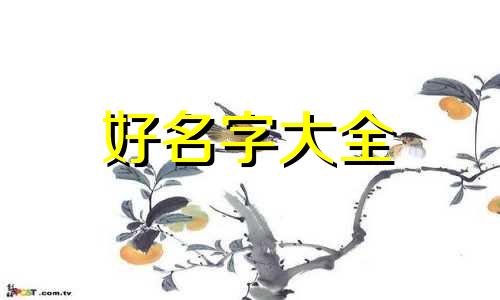 做电商如何起名字大全男