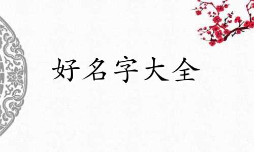 泰迪母狗如何起名字呢好听