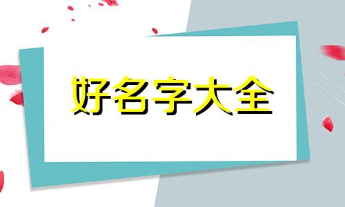 如何给机器人手工起名字
