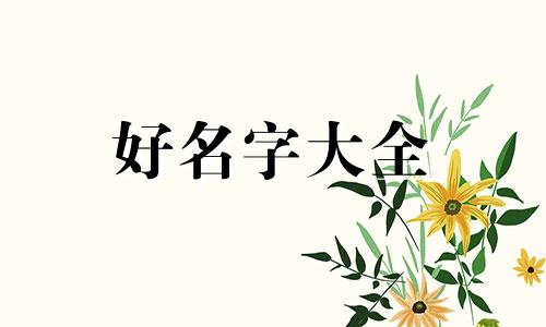 食品类商贸公司如何起名字