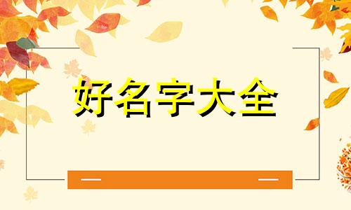 王加胡两字如何起名字