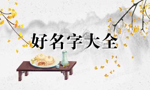 茶舍如何起名字吸引人