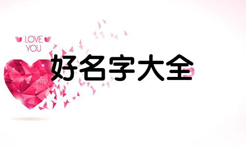 如何给灯笼花起名字呢