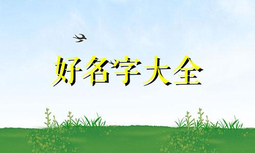 姓闻如何起名字两字男