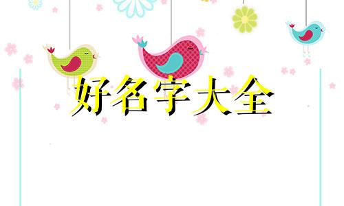 如何用菊花起名字女孩好听