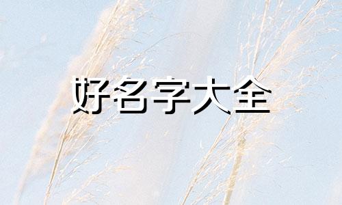 三线仓鼠如何起名子的名字