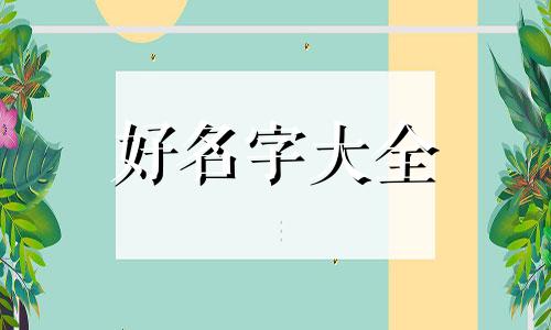 运动袜品牌如何起名字好听