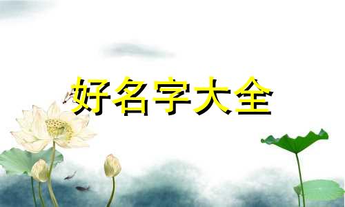 品牌连锁如何起名字吸引人