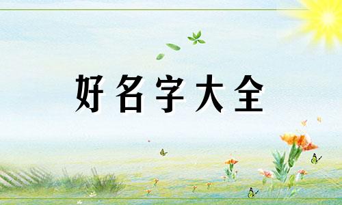 书单如何起名好听一点的名字