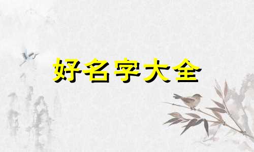 该如何给狗狗起名字有反应