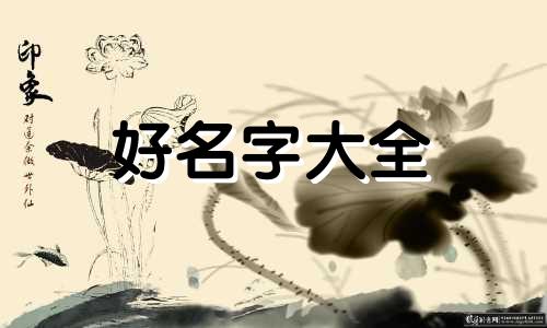 废品回收个体工商户如何起名