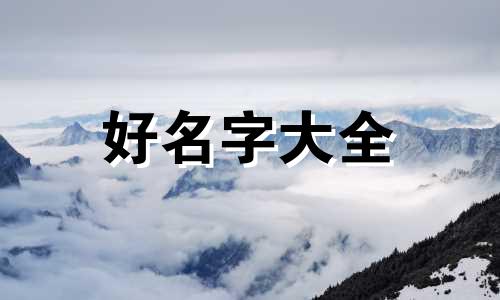 橘猫该如何起名字大全女