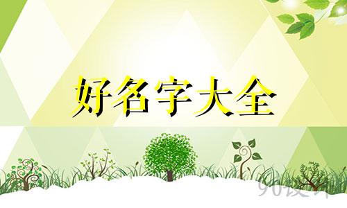 飞鼠如何起名字大全女孩子