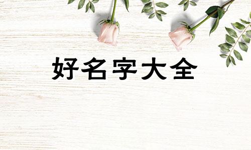 钉钉如何改会议发起名称