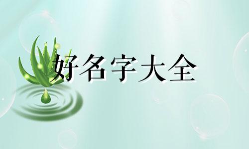 布偶猫崽如何起名好听一点