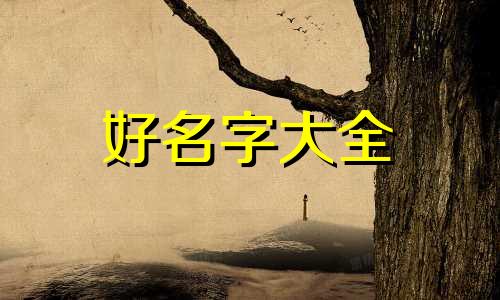 蒋加龚如何起名字好听女