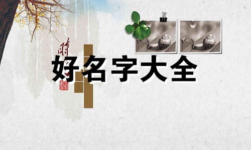 社交账号如何起名字的意思