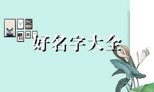 用康字如何起名字男孩小名