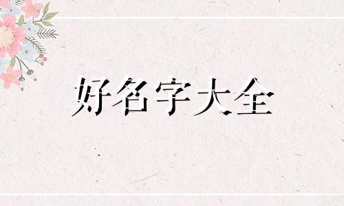 如何给小比熊起名字好听