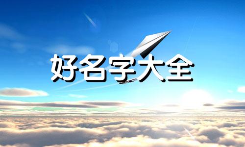 做零食如何起名好听呢男生