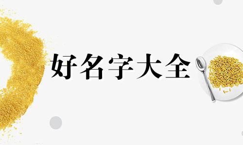 橘猫该如何起名好听一点