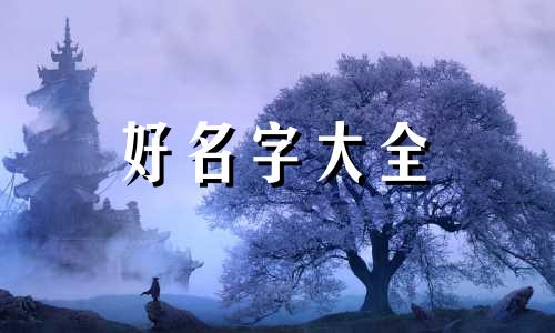 属猪的男孩如何起名字最好听