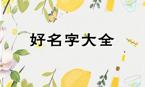 家里唯一的男孩如何起名字