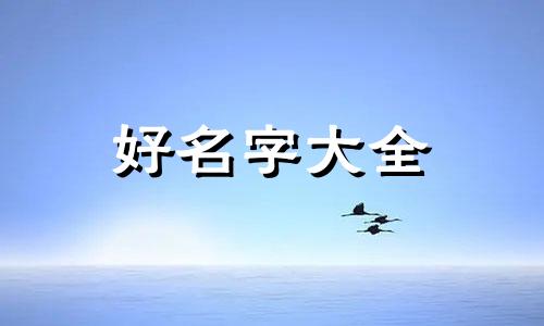 种睫毛店如何起名字高大上