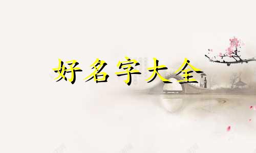 独立设计师如何起名字好听