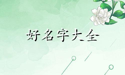 如何起名字新生儿男生女