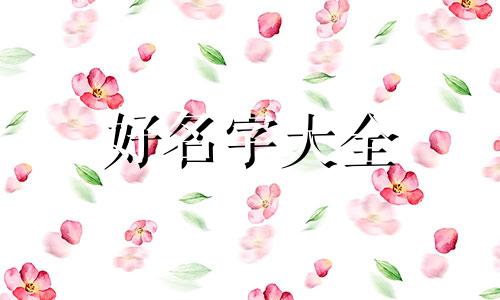 有珀字起名如何起好听的名字