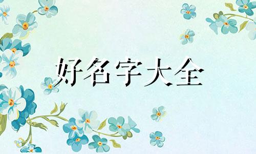 如何给母火焰龟起名字呢