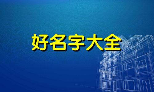 特医食品公司如何起名字