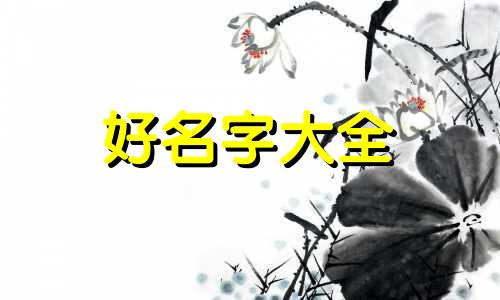 起名网站大全宿子政如何