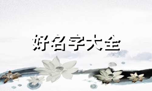 如何给宝宝起名字带金字旁