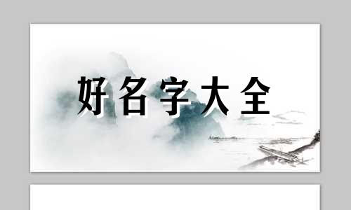 捡的猫如何起名字呢女孩