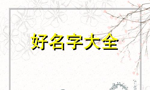 金丝熊公母如何起名字大全