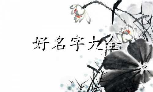 女人多的群如何起名字好听