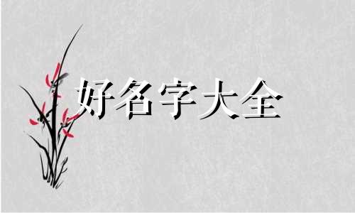 网签后如何起名称和名字