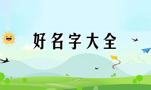 残疾人如何起名字好听男