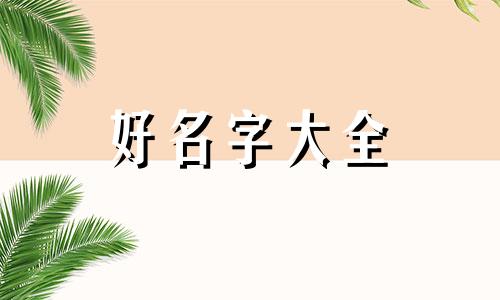 公司名称起名发展前景如何