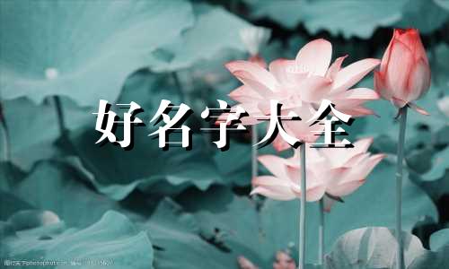 装甲纷争如何起名英文名字