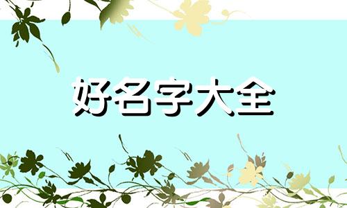 新生儿宝宝如何起名字大全