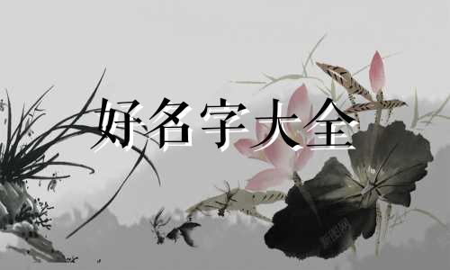 用康字如何起名字好听的