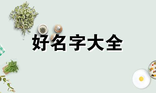 追星人如何起名称好听点